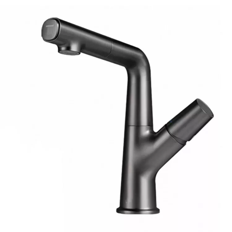 Phakamisa Tsala-Ngaphandle Swivel Basin Faucet